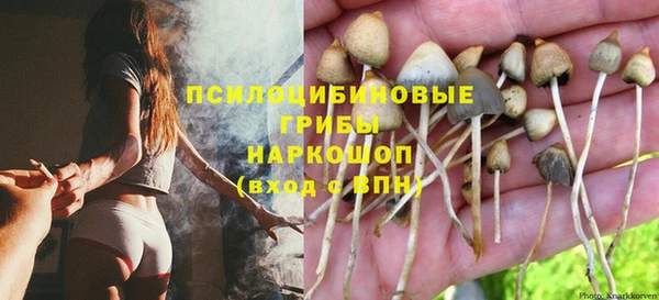 гашиш Аркадак